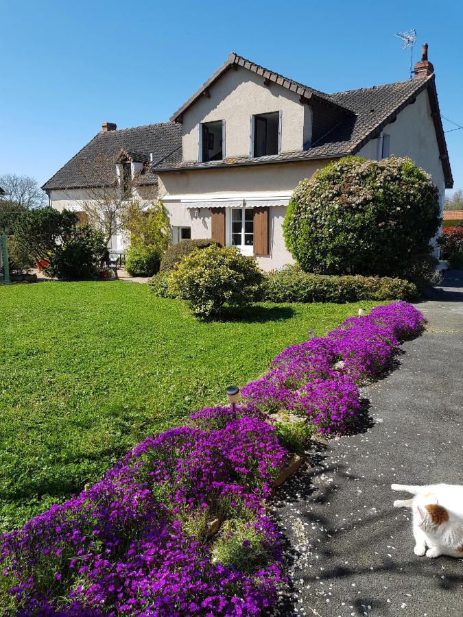 Chambres D'Hotes Anne-Marie Chatillon-sur-Indre Exterior photo